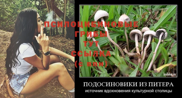 ECSTASY Аркадак